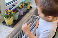 Cezary-podlewa-kwiaty.