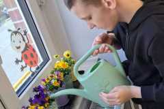 Fabianek-podlewa-bratki.