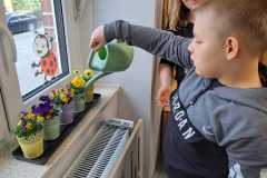 Grzes-podlewa-kwiaty.