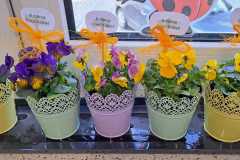 Kwiaty-na-dzien-kobiet.