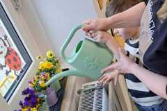 Leonek-podlewa-kwiaty