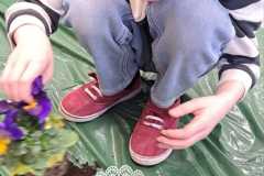 Leonek-sadzi-kwiaty.