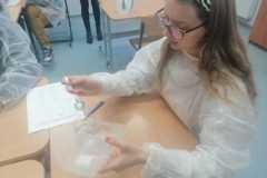 Chemia w kuchni - skrobia