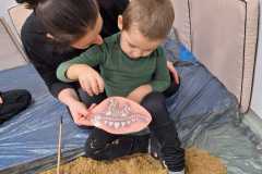 Odkrywamy-skamieliny.