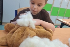 Tymus-robi-swojego-misia