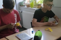 Swiatowy-dzien-pszczoly-12