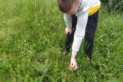 Swiatowy-dzien-pszczoly-5