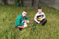 Swiatowy-dzien-pszczoly-6