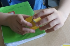 Swiatowy-dzien-pszczoly-9