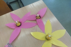 swiatowy-dzien-pszczoly-3