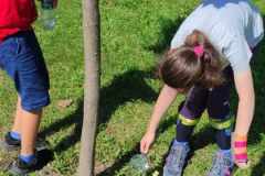 dzieci-obseerwuja-pien-drzewa-lupa