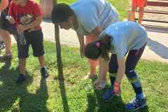 dzieci-szukaja-owadow-w-trawie