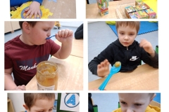 Degustacja-miodu-ulubionego-przysmaku-Misia