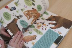 Lekcja-otwarta-pod-tytulem-Matematyka-w-gorach-1-scaled