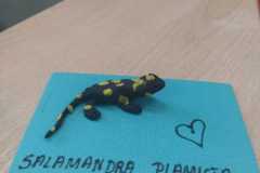 Lekcja-regionalnej-geologii-10