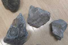 Lekcja-regionalnej-geologii-19