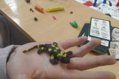 Lekcja-regionalnej-geologii-8