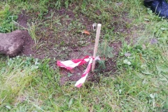 Miedzynarodowy-Dzien-Ziemi-8