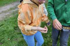 obserwacja-przyrody-1