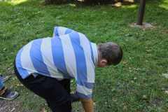 obserwacja-przyrody-4