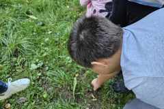 obserwacja-przyrody-5