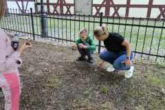 obserwacja-przyrody-6