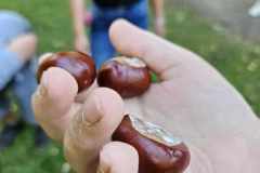 obserwacja-przyrody-7