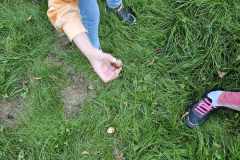 obserwacja-przyrody-8