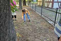 obserwacja-przyrody-9