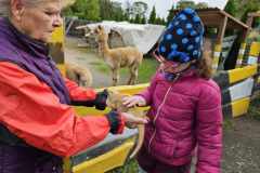 wycieczka-do-piotrowka-10