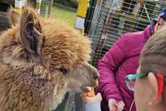 wycieczka-do-piotrowka-16