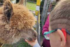 wycieczka-do-piotrowka-2