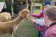 wycieczka-do-piotrowka-23