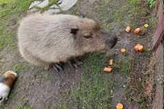 wycieczka-do-piotrowka-25