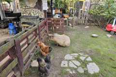 wycieczka-do-piotrowka-26