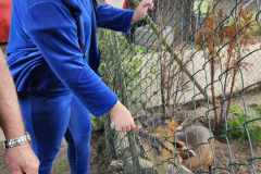 wycieczka-do-piotrowka-29