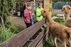 wycieczka-do-piotrowka-8