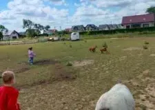 xwycieczka-do-zwierzecej-zagrody-14-225x300.jpg.pagespeed.ic_.CoVX1roGEo