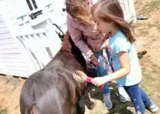 xwycieczka-do-zwierzecej-zagrody-15-225x300.jpg.pagespeed.ic_.WB7YkXItxz