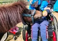 xwycieczka-do-zwierzecej-zagrody-17-225x300.jpg.pagespeed.ic_.gJuc4Vjzp0