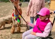 xwycieczka-do-zwierzecej-zagrody-19-225x300.jpg.pagespeed.ic_.4g4b55J2M2