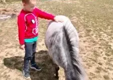 xwycieczka-do-zwierzecej-zagrody-20-225x300.jpg.pagespeed.ic_.N-WSDs65Uq