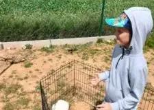 xwycieczka-do-zwierzecej-zagrody-21-225x300.jpg.pagespeed.ic_.ZDI_Py0vCR