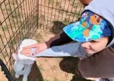 xwycieczka-do-zwierzecej-zagrody-28-225x300.jpg.pagespeed.ic_.YQcTJg2M4M