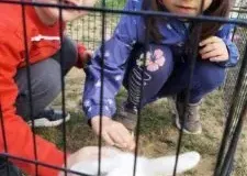 xwycieczka-do-zwierzecej-zagrody-33-225x300.jpg.pagespeed.ic_.1Y81GEAQNu