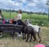 xwycieczka-do-zwierzecej-zagrody-35-168x300.jpg.pagespeed.ic_.eSYdrcKy7K