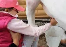 xwycieczka-do-zwierzecej-zagrody-38-225x300.jpg.pagespeed.ic_.smYt8P0zfT