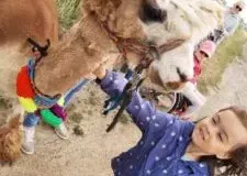 xwycieczka-do-zwierzecej-zagrody-41-225x300.jpg.pagespeed.ic_.Z48kVZQwR2