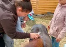 xwycieczka-do-zwierzecej-zagrody-42-225x300.jpg.pagespeed.ic_.gTCb4cjzMm