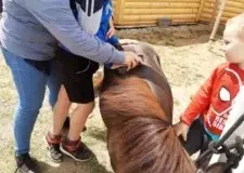 xwycieczka-do-zwierzecej-zagrody-45-225x300.jpg.pagespeed.ic_.fcuhCcD0Ap